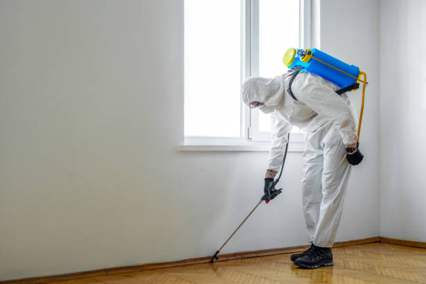 Best Pest Control for Multi-Family Homes  in New Union, TN